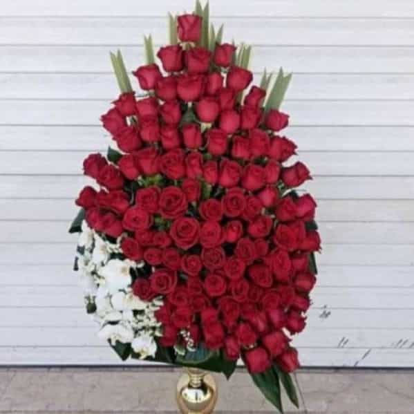 1710398608527.webp