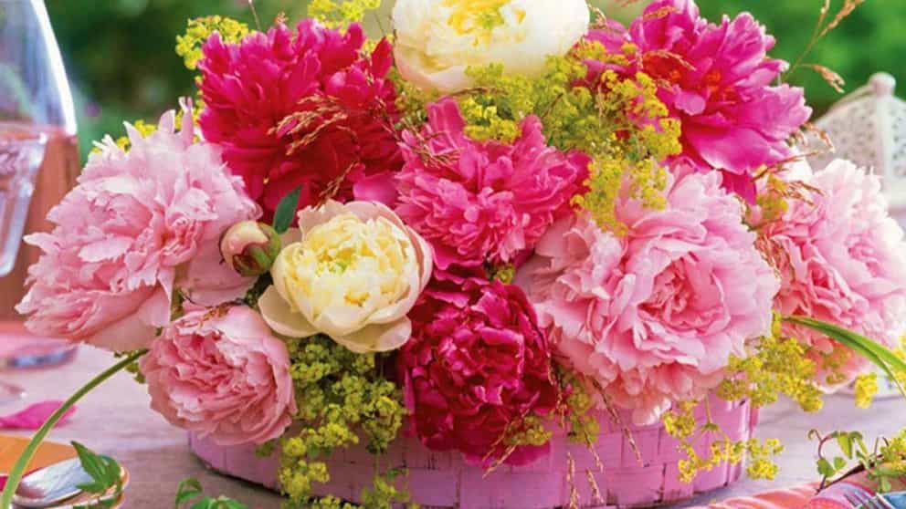 The difference between flower crown and flower box